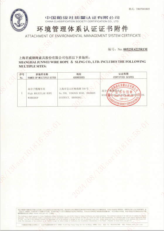 NG集团官网 环境治理系统认证证书