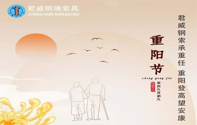 NG集团官网钢索